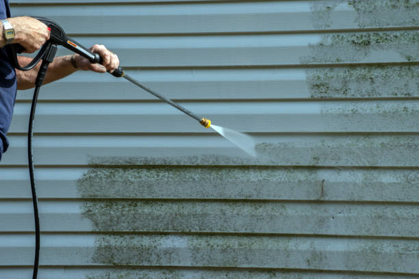 Best Best Pressure Washing Companies  in Prces Lakes, IN