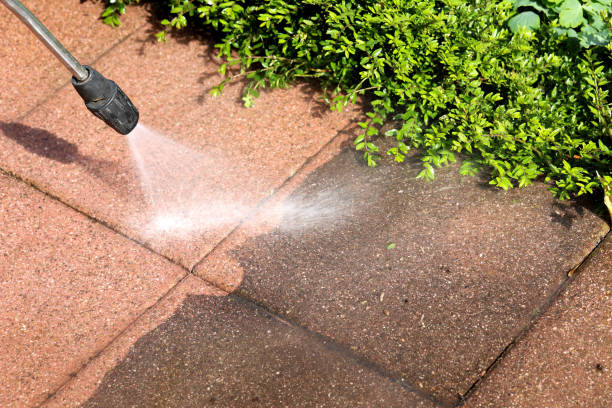 Best Exterior Home Cleaning  in Prces Lakes, IN